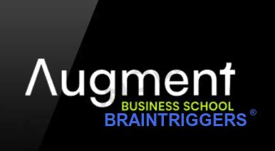 The Augment MBA by Ariel Renous & Roy Wellner